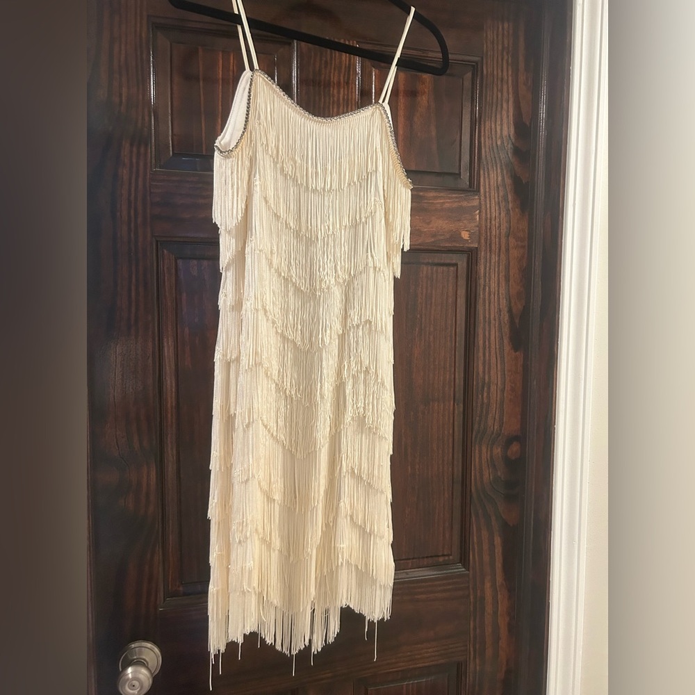 Vintage flapper fringe dress